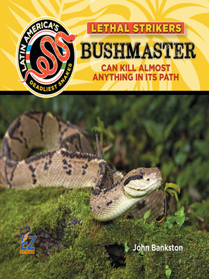 cover image of Bushmaster Snake